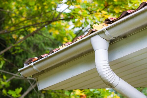 Replacement Gutters